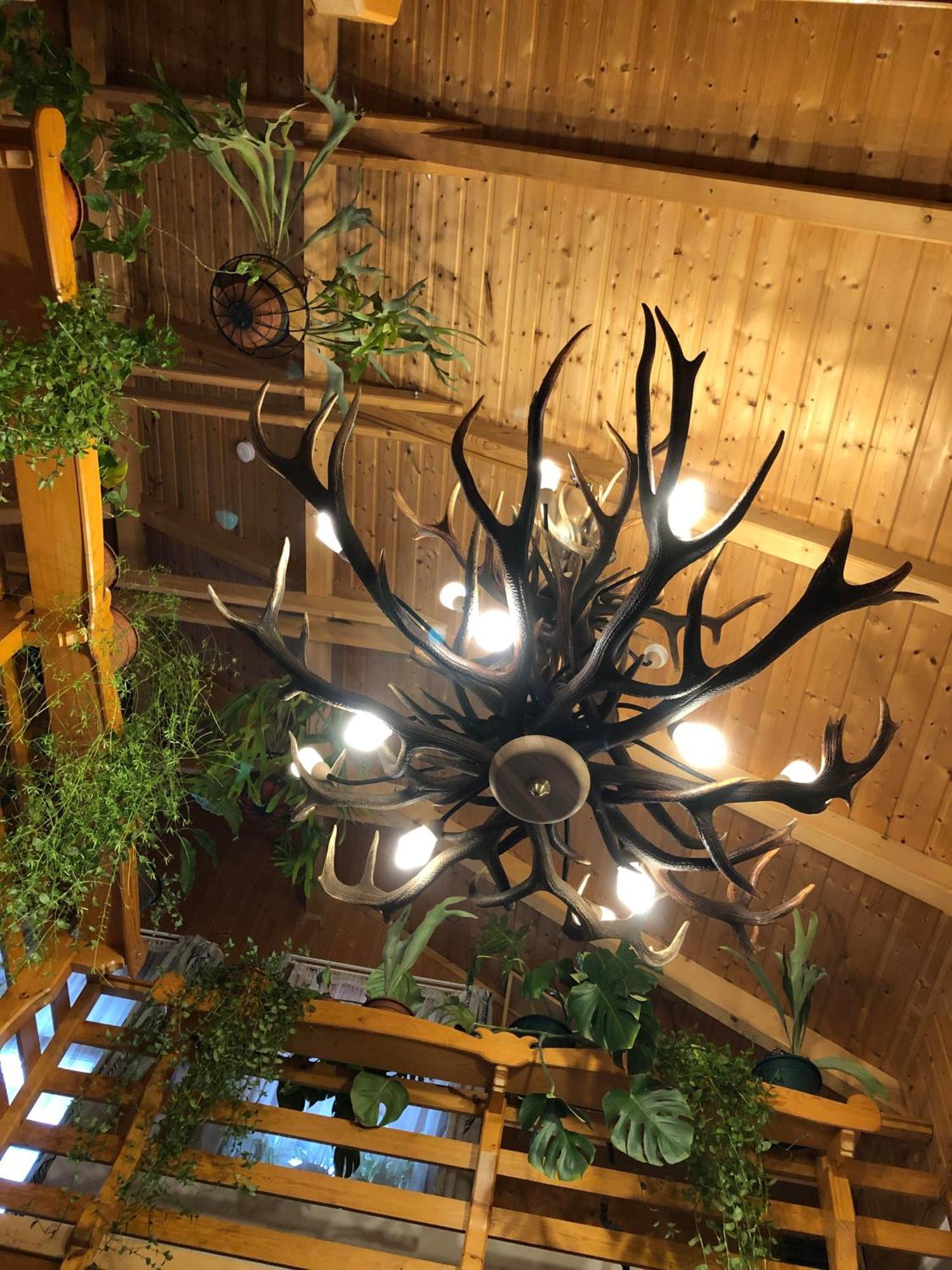 Tiszafa Vendeghaz Szentgal Hotel ภายนอก รูปภาพ